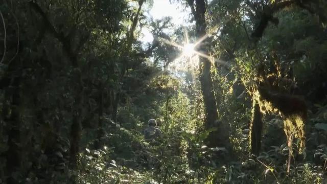 部隊穿越哀牢山現(xiàn)場實拍，一線部隊行進畫面曝光