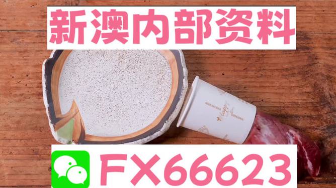 香港新澳精準(zhǔn)資料免費(fèi)提供，動(dòng)態(tài)詞語解釋落實(shí)_The87.78.77