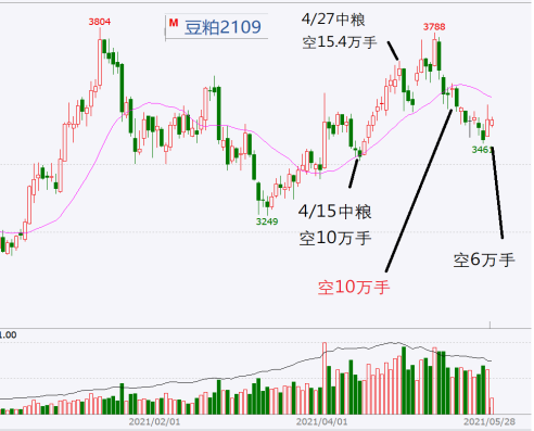 美豆粕期貨行情分析與展望，最新市場動態(tài)及趨勢預(yù)測