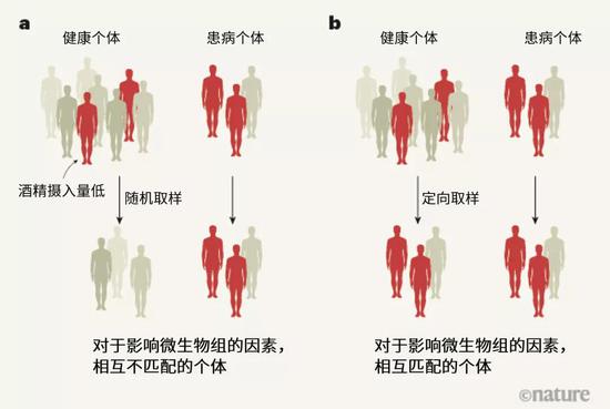 探索人體奧秘的新領域，最新窩窩人體研究揭秘人體奧秘