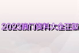 新澳門(mén)資料大全正版資料2023,2023年澳門(mén)正版資料全新匯總_旗艦版2.66