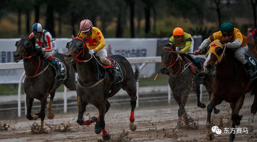 馬會香港7777788888,馬會香港7777帶您暢游賽馬樂趣_標準版7.3