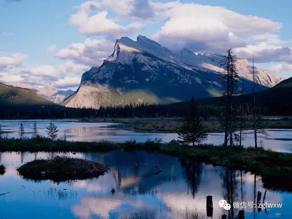 顧涼辰與白美景