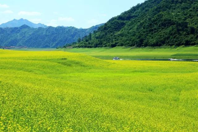 嘉澤新能引領(lǐng)綠色之旅，探尋自然美景，心靈之旅啟程，最新投資動態(tài)揭曉！