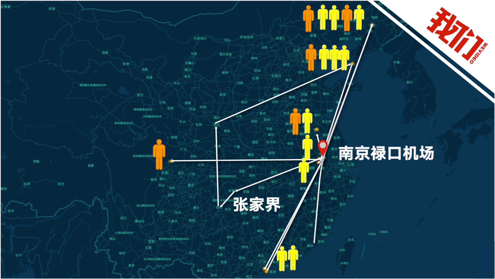 全面評測與深度解析，11月4日疫情最新軌跡