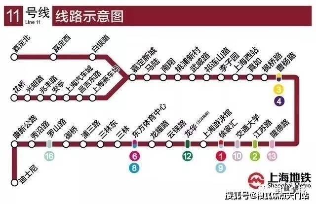 11月4日我要這樣生活最新，全面評(píng)測(cè)與介紹