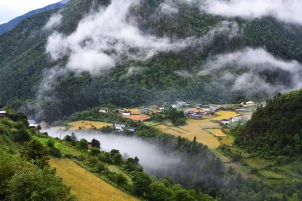 抗州殺妻案背后，探尋自然美景的心靈之旅與寧?kù)o時(shí)刻