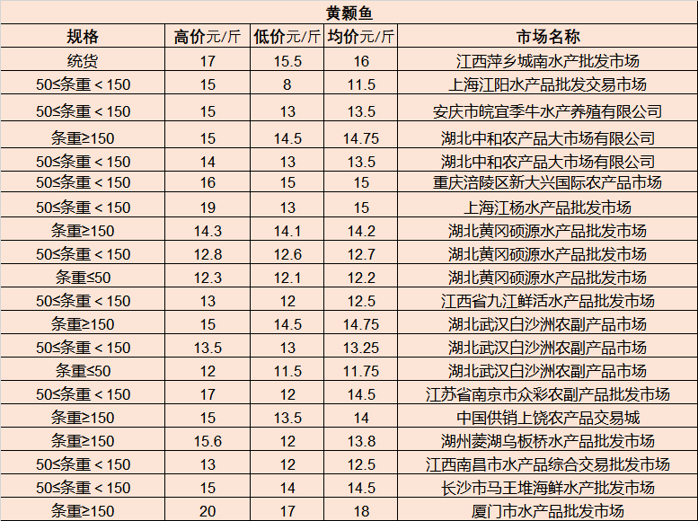 連云港人才市場最新招聘奇遇日，友情新篇章的溫暖邂逅