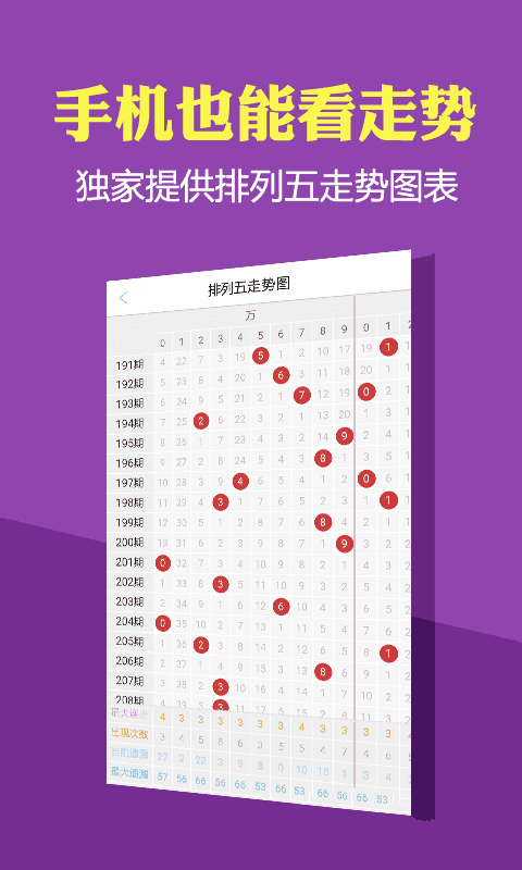 管家婆一碼一肖資料大全四柱預(yù)測,結(jié)構(gòu)解答解釋落實_尊貴版11.466