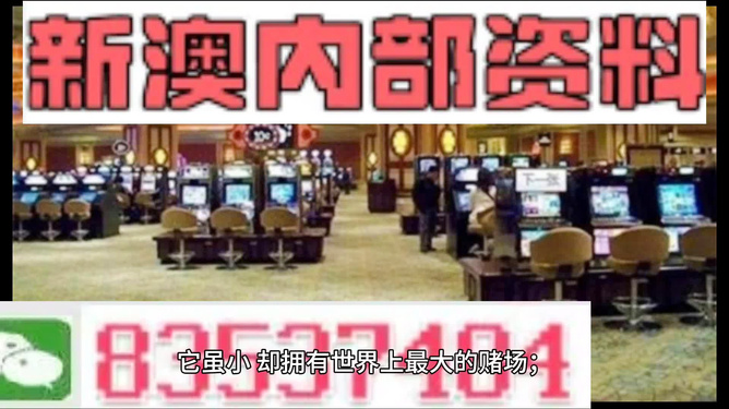 2024澳新資料精準(zhǔn)免費(fèi)分享，安全游玩攻略PTO266.78版