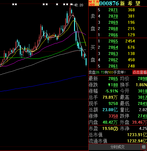 歷史上的11月10日，瑞豐光電股票最新動態(tài)與前景展望