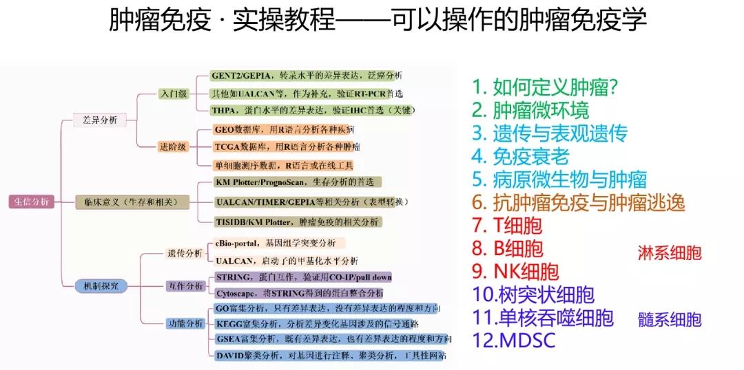 2024年正版資料免費(fèi),植物保護(hù)_至人CXB724.52