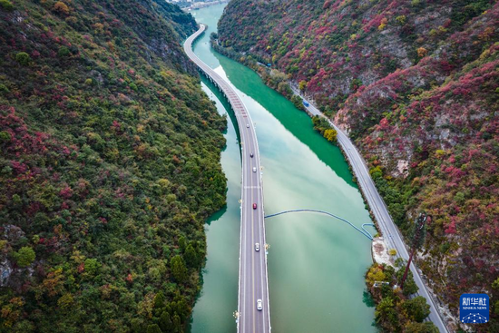 桃江新篇章，探尋最新規(guī)劃公路與小巷深處的美食秘境之旅