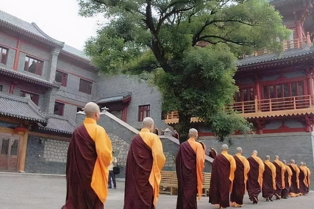 執(zhí)念師3最新消息揭秘，神秘特色小店探秘之旅