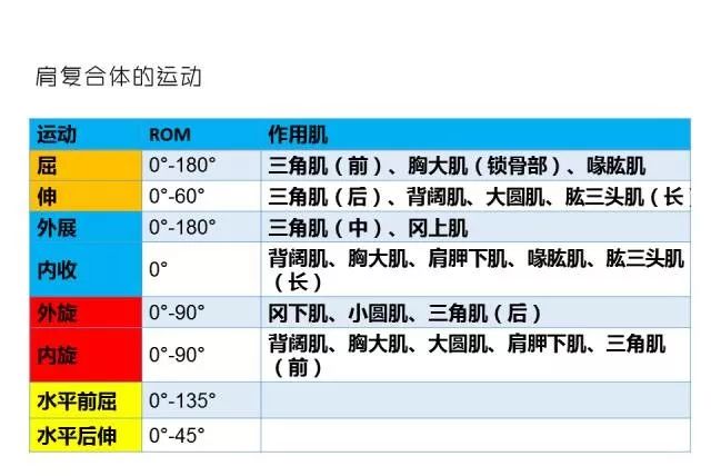 全國聯(lián)銷正版高清圖_ISK56.530影像處理全身數(shù)據(jù)指導枕