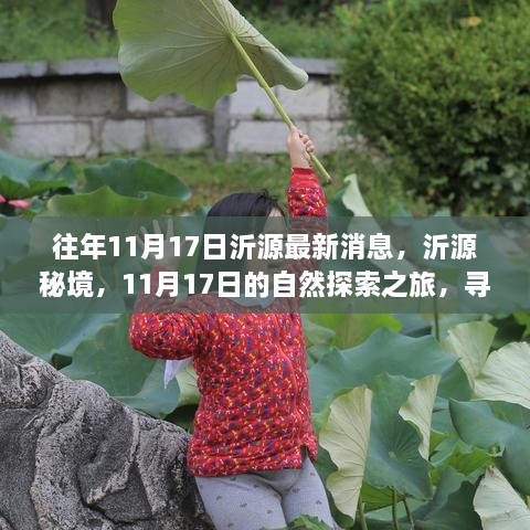 沂源秘境探索，11月17日的自然之旅，探尋桃花源般的心靈之地