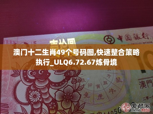 澳門十二生肖49個(gè)號(hào)碼圖,快速整合策略執(zhí)行_ULQ6.72.67煉骨境