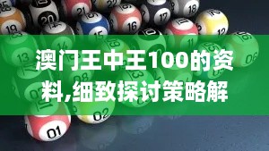 澳門王中王100的資料,細致探討策略解答解釋_DVQ7.70.72模塊版