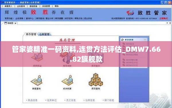 管家婆精準一碼資料,連貫方法評估_DMW7.66.82旗艦款