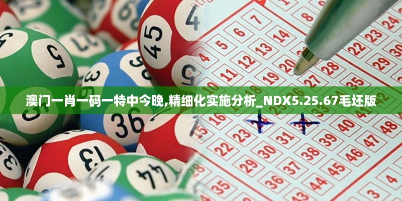 澳門(mén)一肖一碼一特中今晚,精細(xì)化實(shí)施分析_NDX5.25.67毛坯版