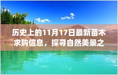 探尋自然美景之旅，歷史上的日子與今日苗木求購信息交匯點(diǎn)