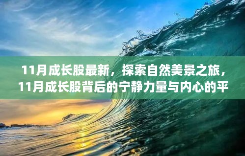 探索自然美景之旅，揭秘11月成長(zhǎng)股背后的寧?kù)o力量與內(nèi)心平和的力量