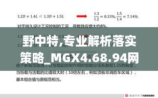 野中特,專業(yè)解析落實策略_MGX4.68.94網(wǎng)絡版