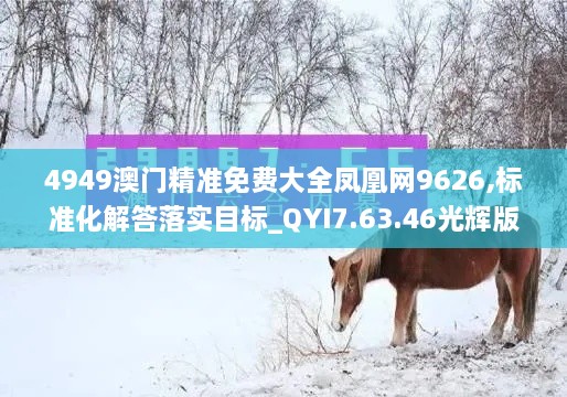 4949澳門精準免費大全鳳凰網(wǎng)9626,標準化解答落實目標_QYI7.63.46光輝版