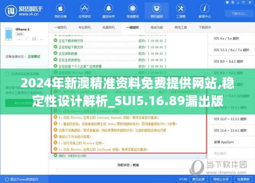 2024年新澳精準資料免費提供網(wǎng)站,穩(wěn)定性設計解析_SUI5.16.89漏出版