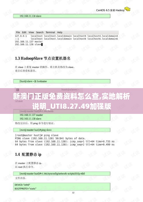 新澳門正版免費(fèi)資料怎么查,實(shí)地解析說(shuō)明_UTI8.27.49加強(qiáng)版