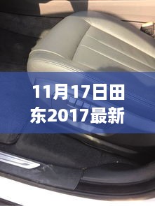 田東地區(qū)最新新聞報(bào)道（XXXX年11月17日更新）