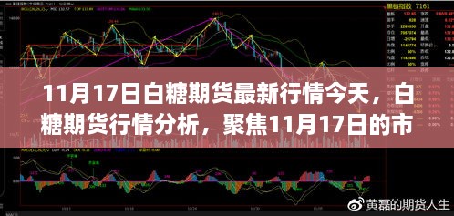 白糖期貨行情分析，聚焦市場動態(tài)與未來展望（最新行情報道，日期，11月17日）