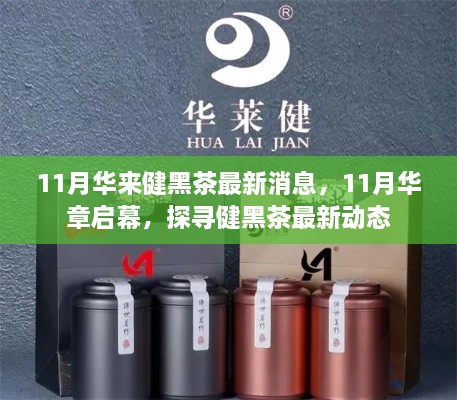 探尋健黑茶最新動態(tài)，華章啟幕，華來健黑茶最新消息揭秘