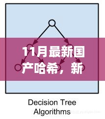 新哈希算法下的暖心日常，友情、家庭與愛的紐帶（11月最新國產(chǎn)哈希分享）