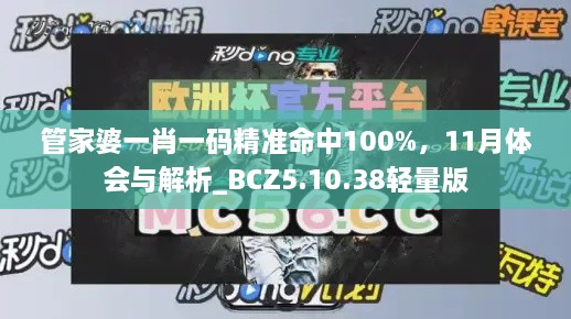 管家婆一肖一碼精準命中100%，11月體會與解析_BCZ5.10.38輕量版