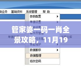 管家婆一碼一肖全景攻略，11月19日實地計劃設計驗證_JSA8.44.26理想版