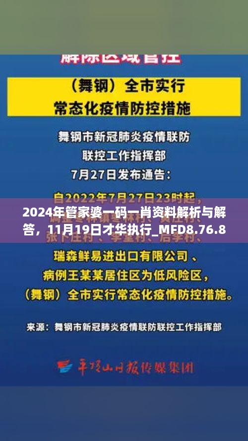 2024年管家婆一碼一肖資料解析與解答，11月19日才華執(zhí)行_MFD8.76.81加速版