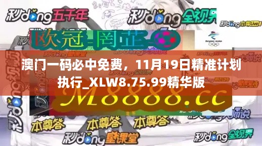 澳門一碼必中免費(fèi)，11月19日精準(zhǔn)計劃執(zhí)行_XLW8.75.99精華版