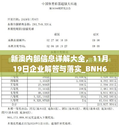 新澳內(nèi)部信息詳解大全，11月19日企業(yè)解答與落實_BNH6.37.71零障礙版