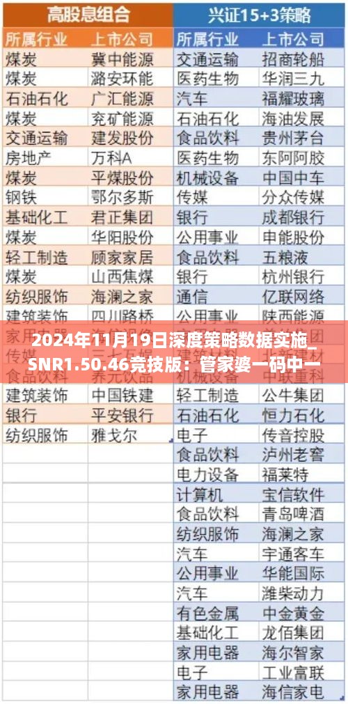 2024年11月19日深度策略數據實施_SNR1.50.46競技版：管家婆一碼中一肖