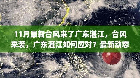 廣東湛江應(yīng)對最新臺風(fēng)來襲，動態(tài)解析與應(yīng)對策略