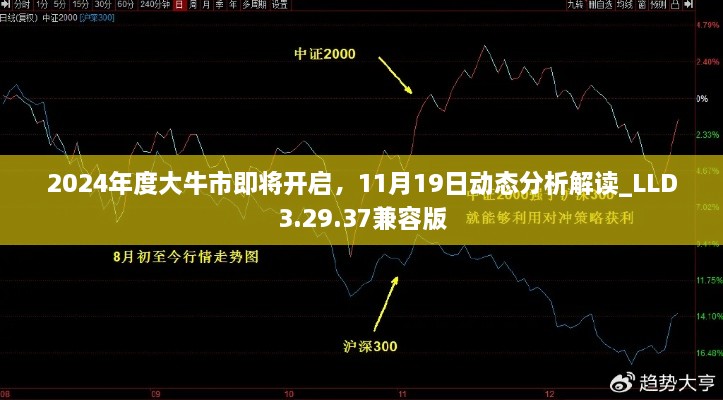 2024年度大牛市即將開啟，11月19日動(dòng)態(tài)分析解讀_LLD3.29.37兼容版