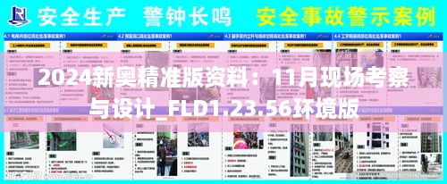 2024新奧精準(zhǔn)版資料：11月現(xiàn)場考察與設(shè)計_FLD1.23.56環(huán)境版