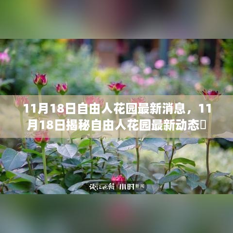 揭秘自由人花園最新動態(tài)，最新消息一覽（11月18日）