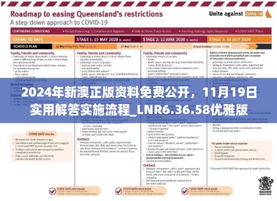 2024年新澳正版資料免費公開，11月19日實用解答實施流程_LNR6.36.58優(yōu)雅版
