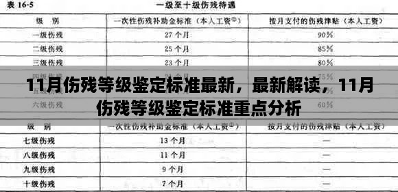 最新解讀與重點分析，11月傷殘等級鑒定標準詳解