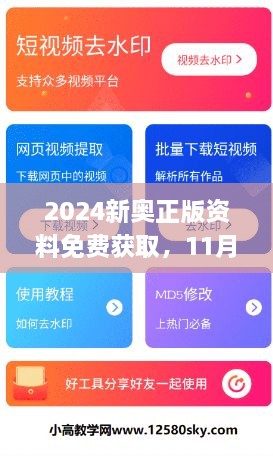 2024新奧正版資料免費獲取，11月19日全面評估解答及步驟解析_WUF1.60.91計算能力版