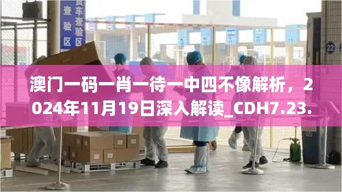 澳門一碼一肖一待一中四不像解析，2024年11月19日深入解讀_CDH7.23.95連續(xù)版