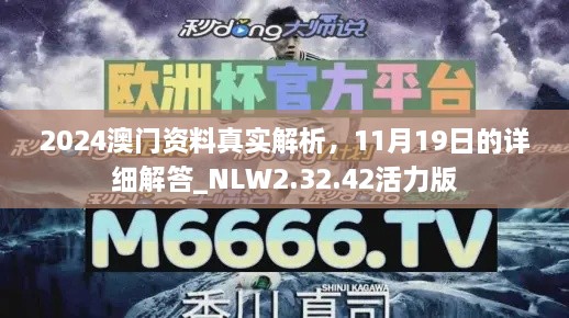 2024澳門資料真實解析，11月19日的詳細解答_NLW2.32.42活力版