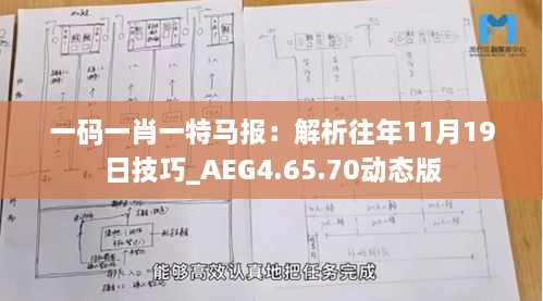 一碼一肖一特馬報(bào)：解析往年11月19日技巧_AEG4.65.70動態(tài)版